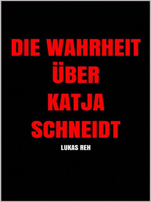 Cover image for Die Wahrheit über Katja Schneidt